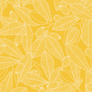 Motifs-B